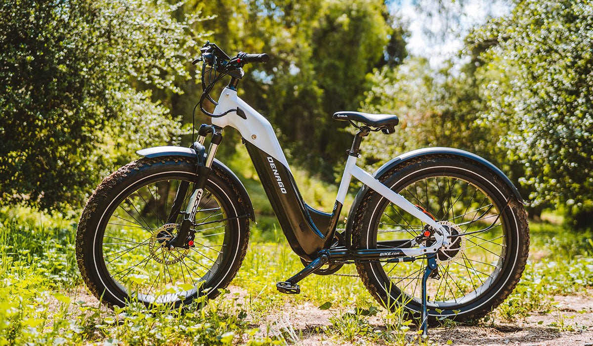 Dirwin Pioneer Fat Tire Step-thru vs. Denago Fat Tire Step-thru eBike