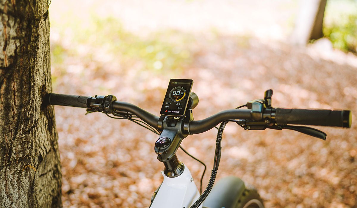 Magnum Scout vs. Denago Fat Tire eBike