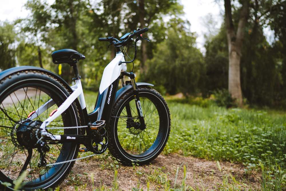 Radpower Radrover 6 Plus Step-thru VS. Denago Fat Tire Step-thru eBike