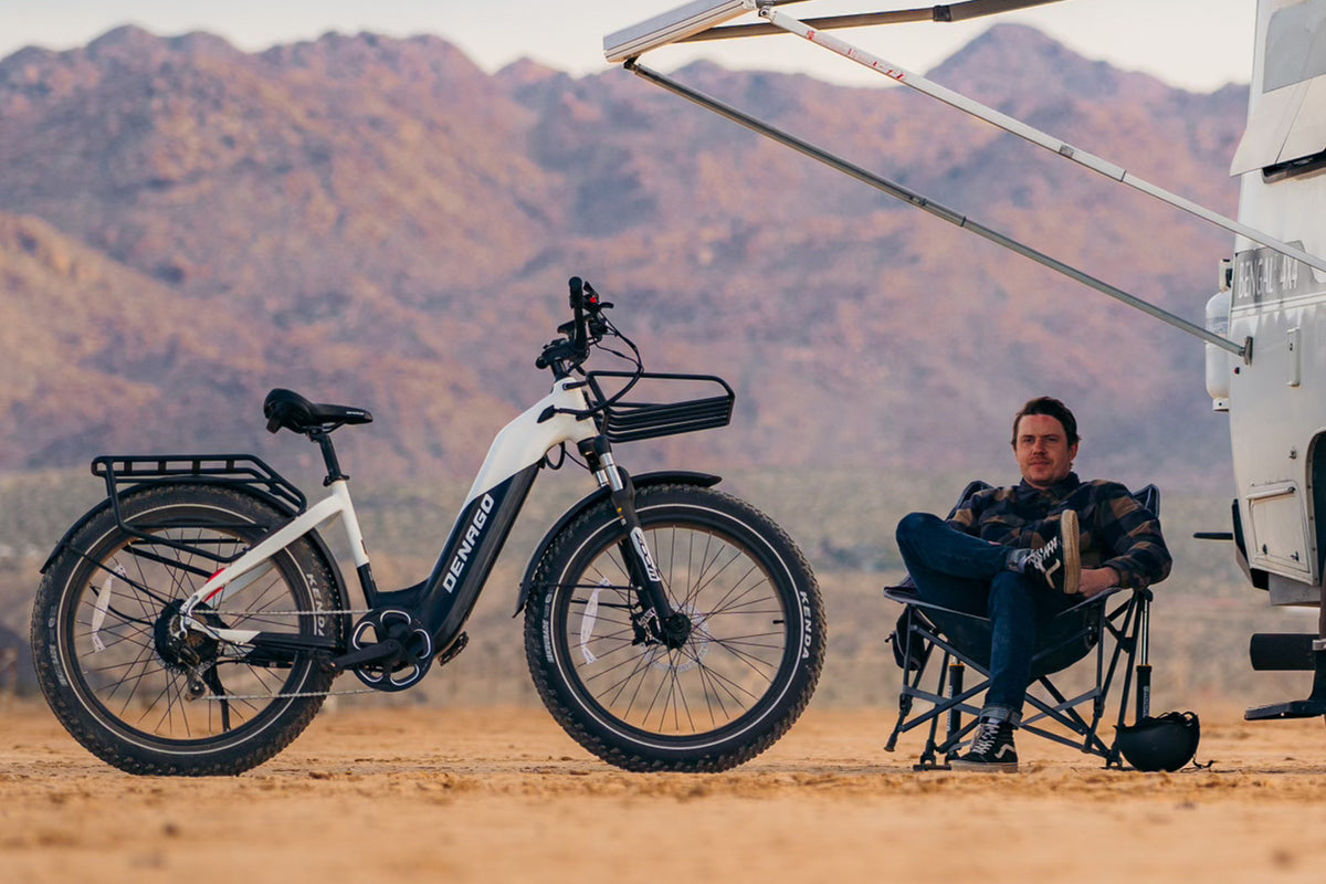 Denago Fat Tire Step-thru eBike