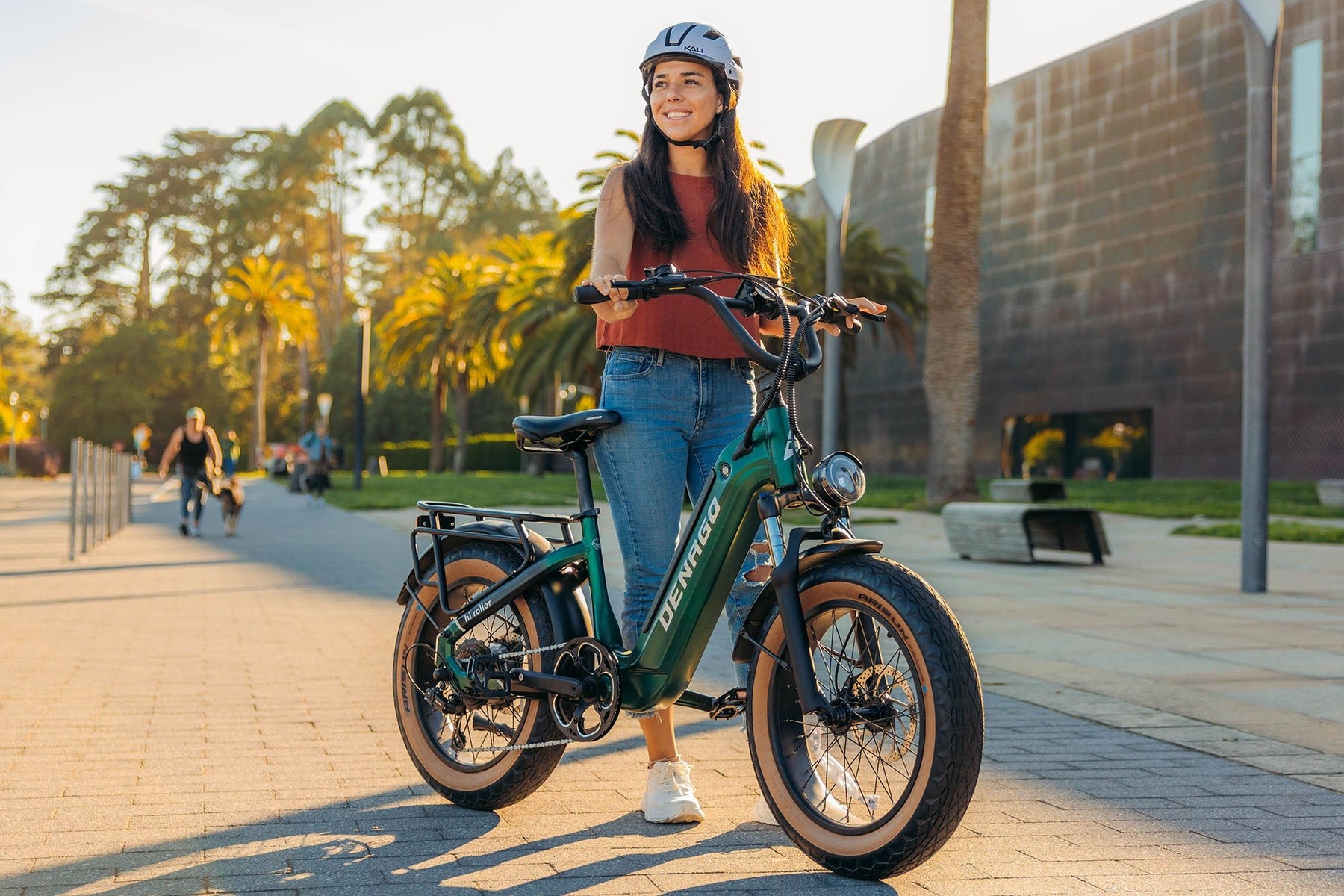 Hi Roller Step-thru eBike