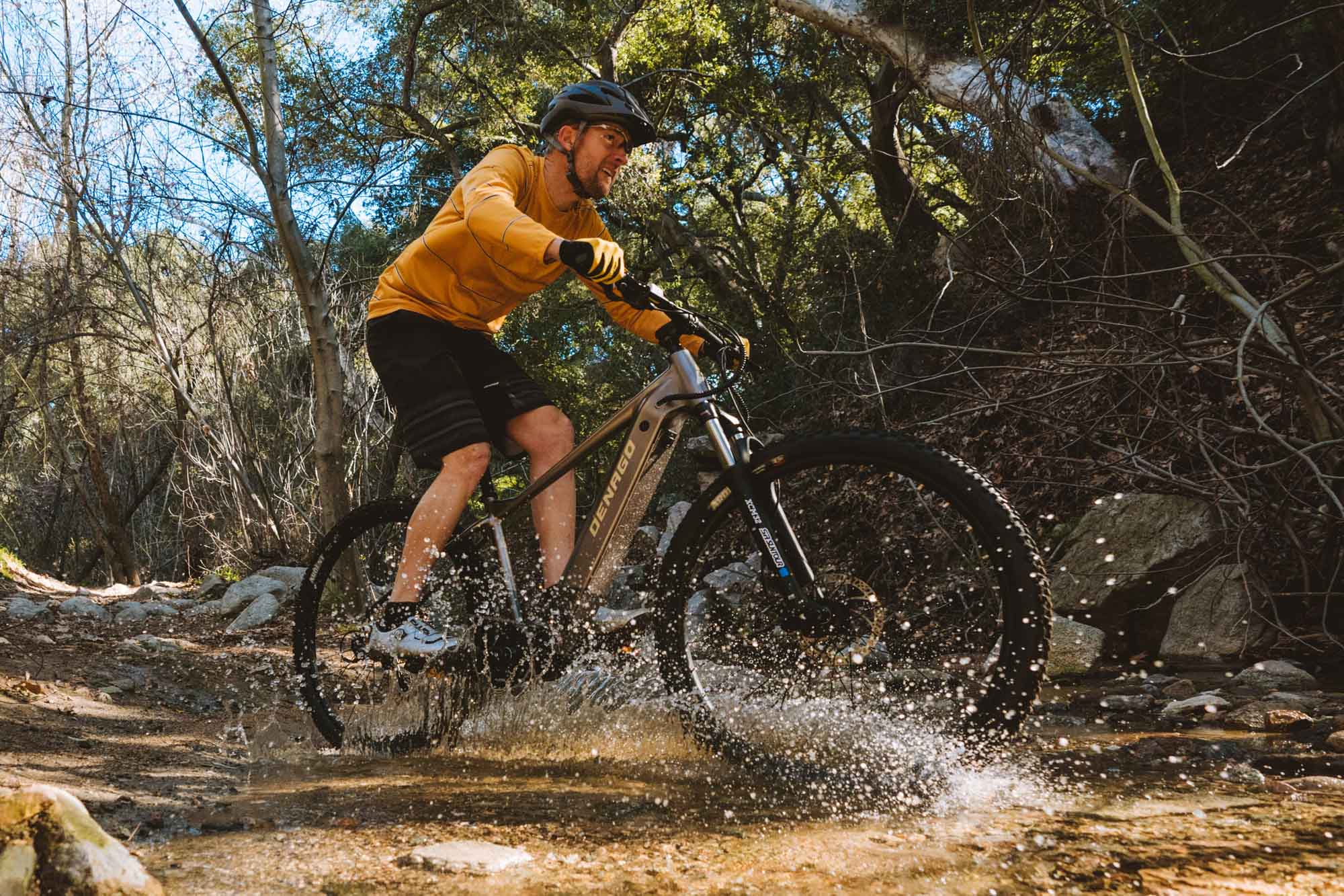 Denago eXC1 eMTB Mountain eBike