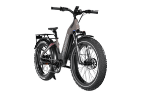 Denago Fat Tire 2 Step-thru eBike