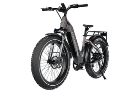 Denago Fat Tire 2 Step-thru eBike