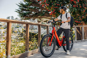 Denago City 3 Step-thru eBike