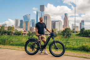 Denago Fat Tire 2 Step-thru eBike