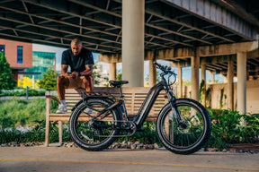 Denago Fat Tire 2 Step-thru eBike