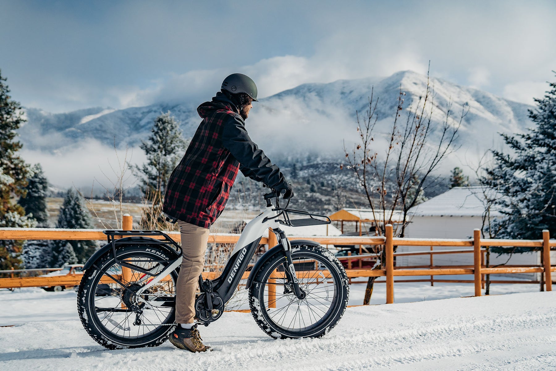 Denago Fat Tire Step-thru eBike