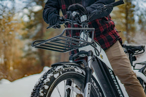 Denago Fat Tire Step-thru eBike