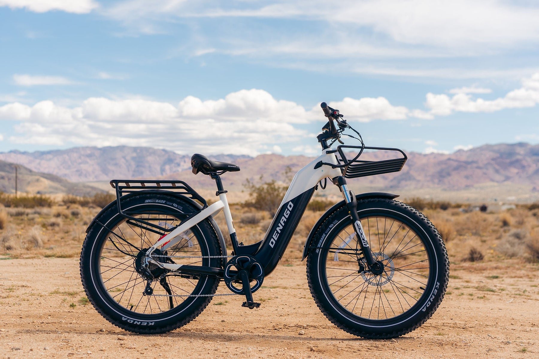 Denago Fat Tire Step-thru eBike