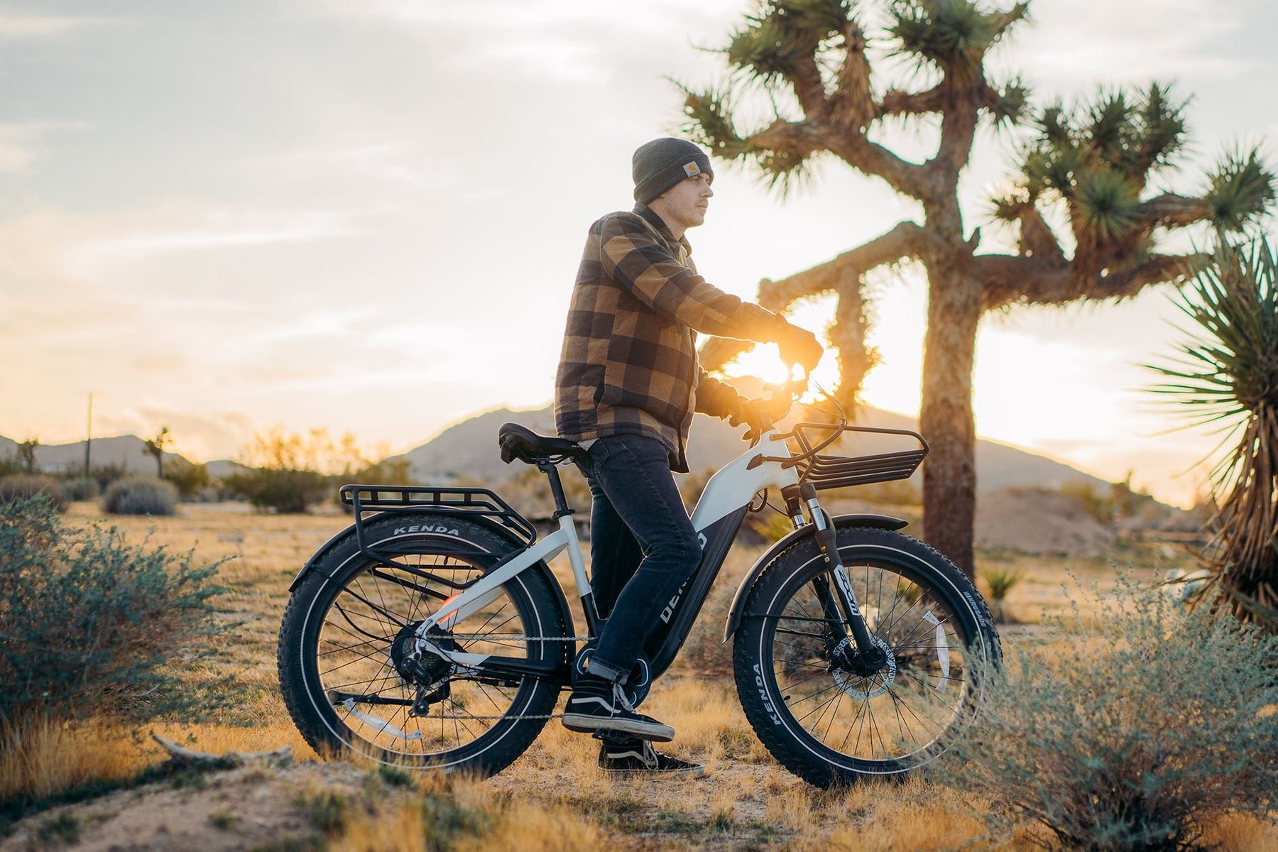 Denago Fat Tire Step-thru eBike