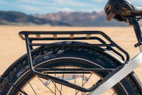 Denago Fat Tire Step-thru eBike