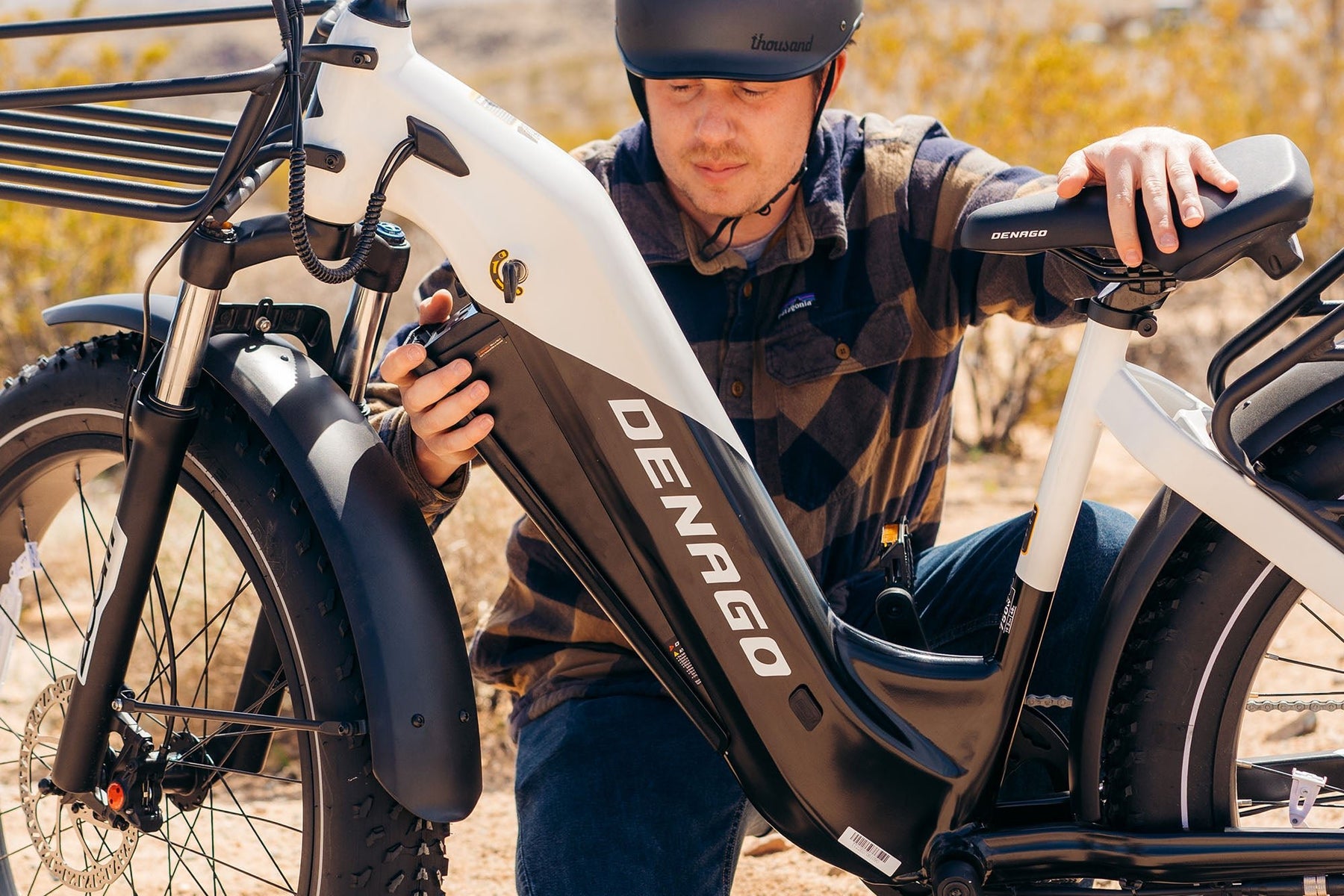 Denago Fat Tire Step-thru eBike