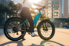 Denago Fat Tire 2 Step-thru eBike