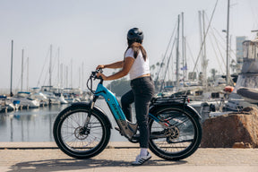 Denago Fat Tire 2 Step-thru eBike