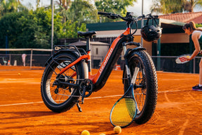 Denago Fat Tire 2 Step-thru eBike