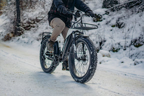 Denago Fat Tire Step-thru eBike