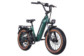 Hi Roller Step-thru eBike