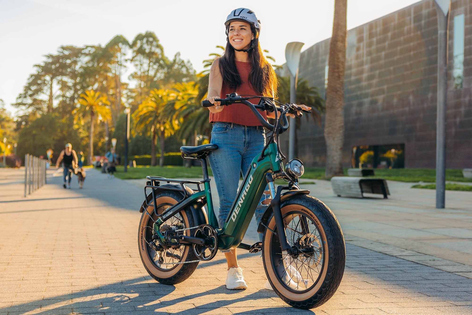 Hi Roller Step-thru eBike