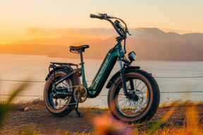 Hi Roller Step-thru eBike