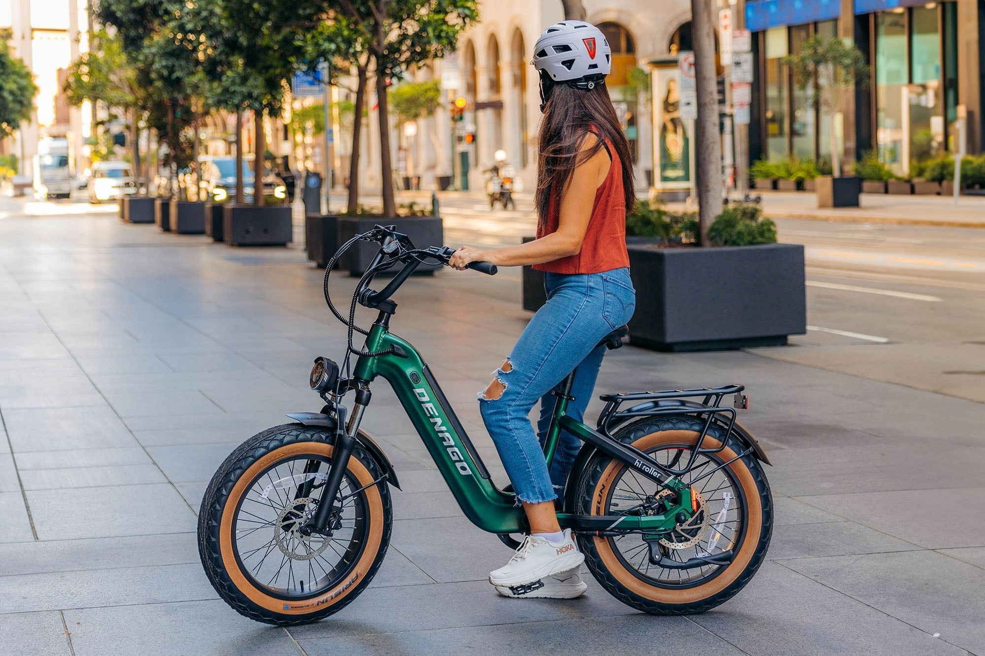 Hi Roller Step-thru eBike