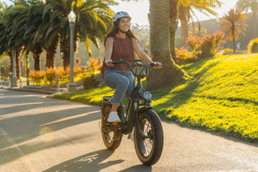 Hi Roller Step-thru eBike