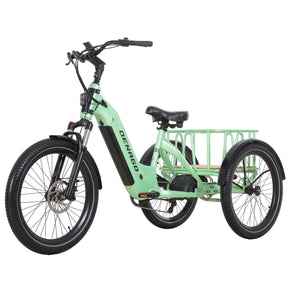Denago Trike 2 eBike