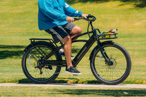 Denago Cruiser 1 Top-tube eBike