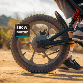Fitz16 Electric Dirt Bike for Kids - GOTRAX