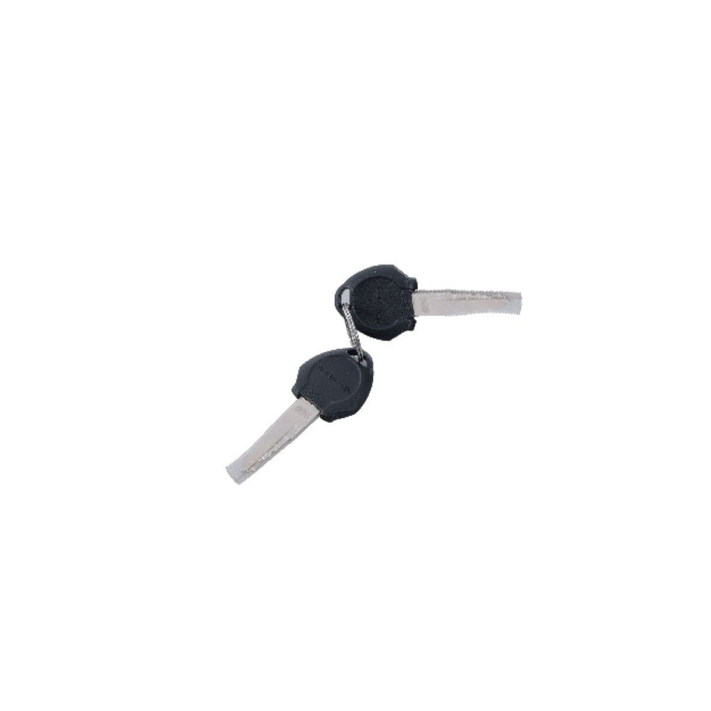 Key Replacement- Denago Folding eBike